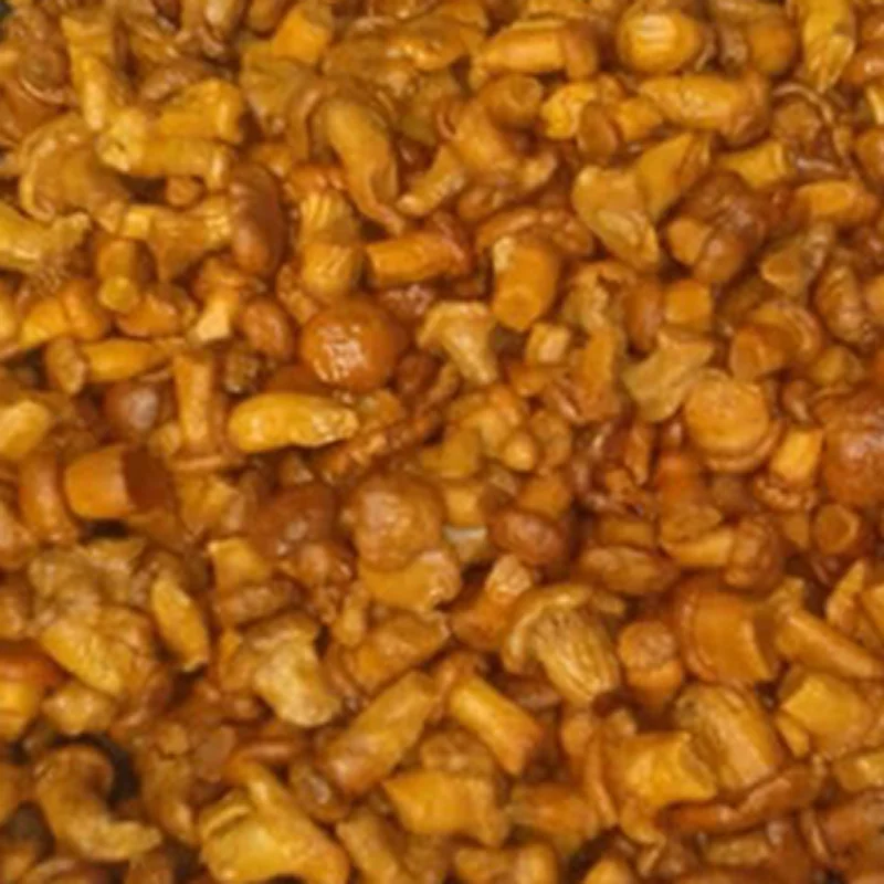 Chanterelles+Brine.jpg