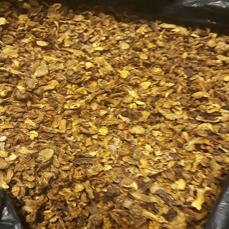 dry+chantarelles+.jpg