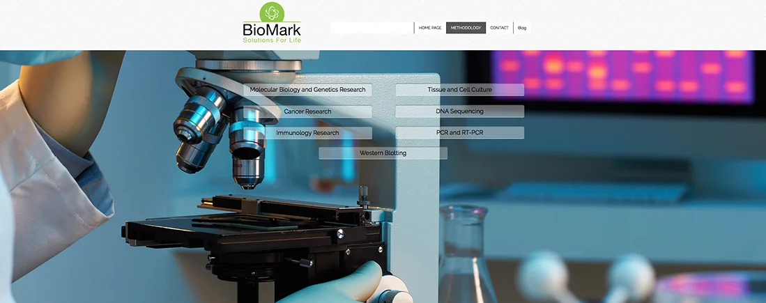 WebSitesSinglePage_Image_02.jpg
