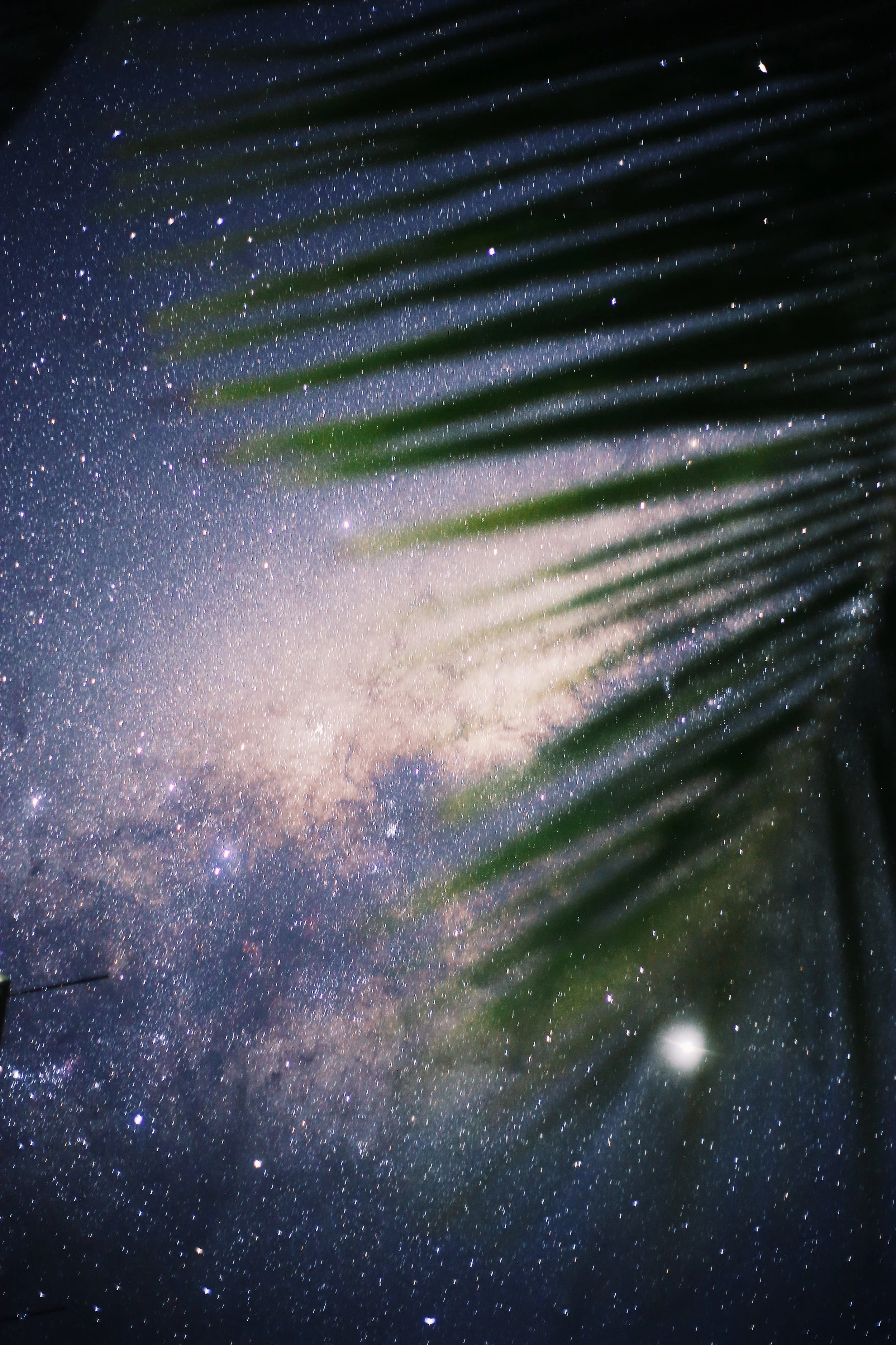 The 10 Greatest Tao Qualities