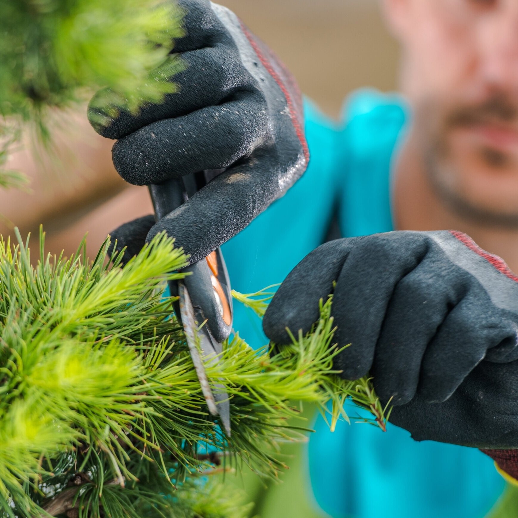 Services — Lovell Landscaping & Grounds Maintenance Ltd.