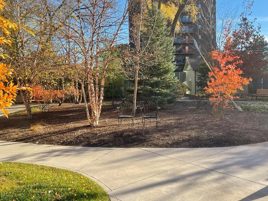 Empty park with trees with fall foliage, a curved concrete walkway, metal chairs, and a building with balconies in the background.