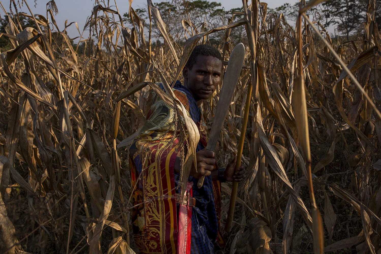 experience “ Twende, Rafiki! ” a visit with the Maasai of Arusha, Tanzania.