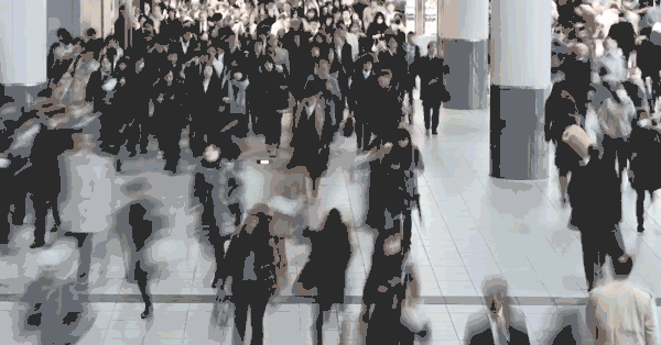 Migration.gif