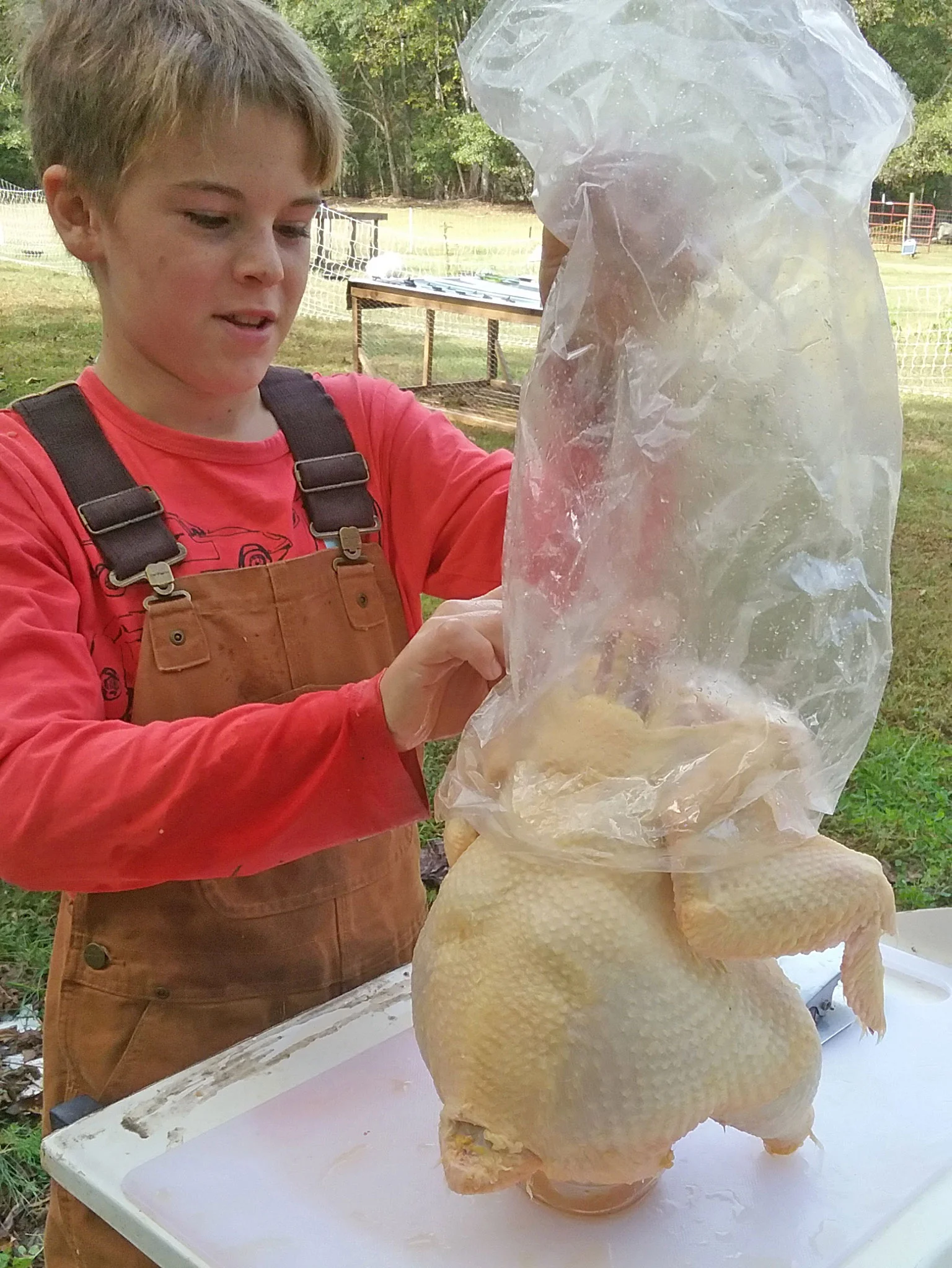 FDA approved,Food,Poly Bag,Thanksgiving
