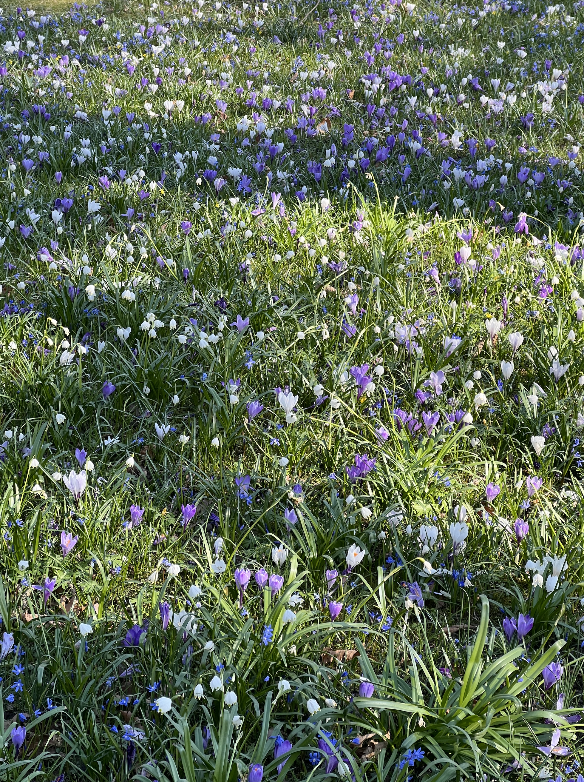 Skærmbillede 2026-01-12 kl. 08.56.55.png