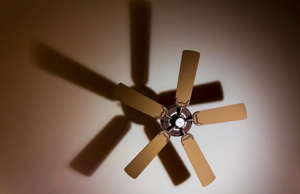 Why Do Babies Like Fans? (Solved)