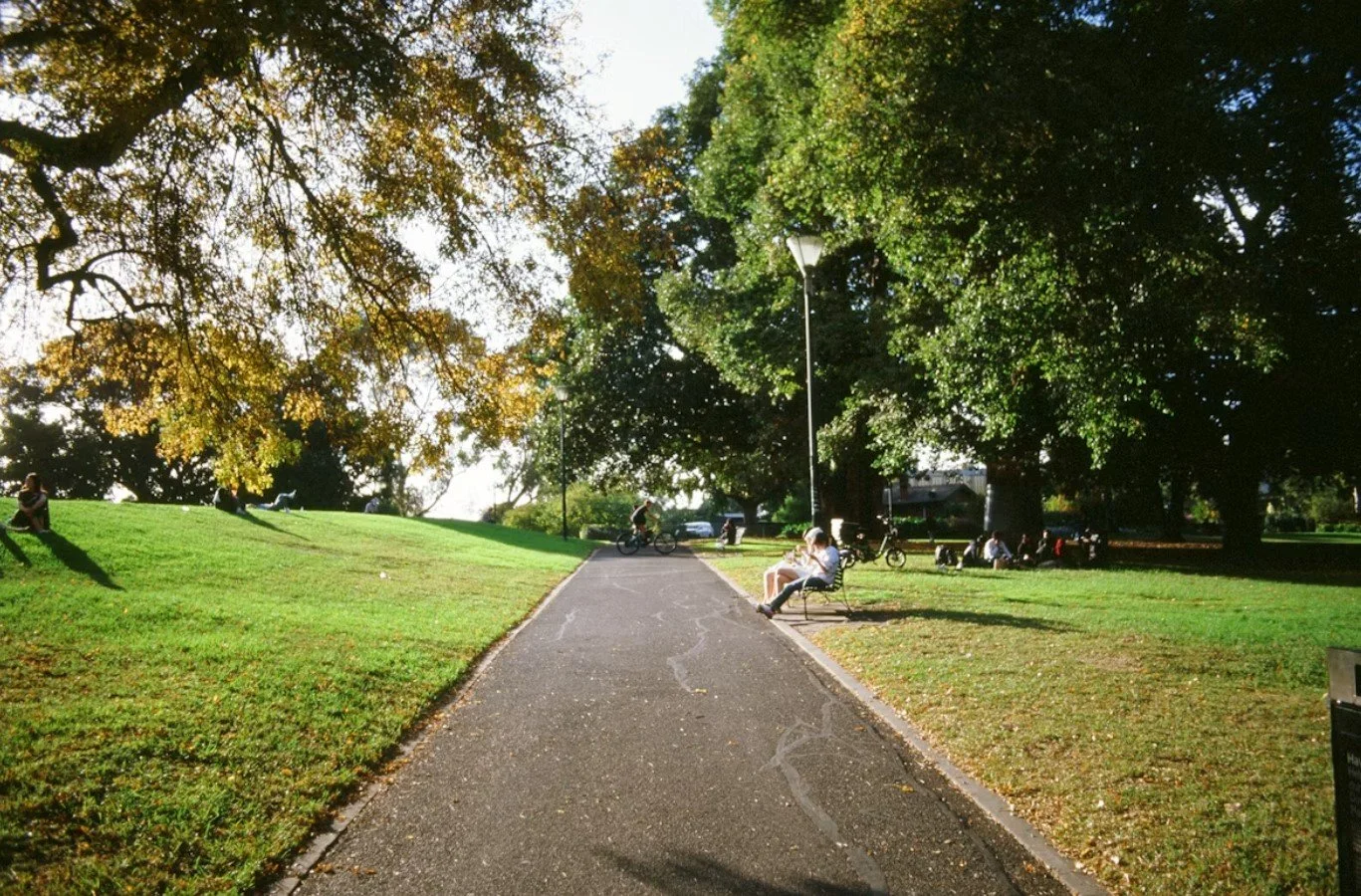 #1 Local Parks