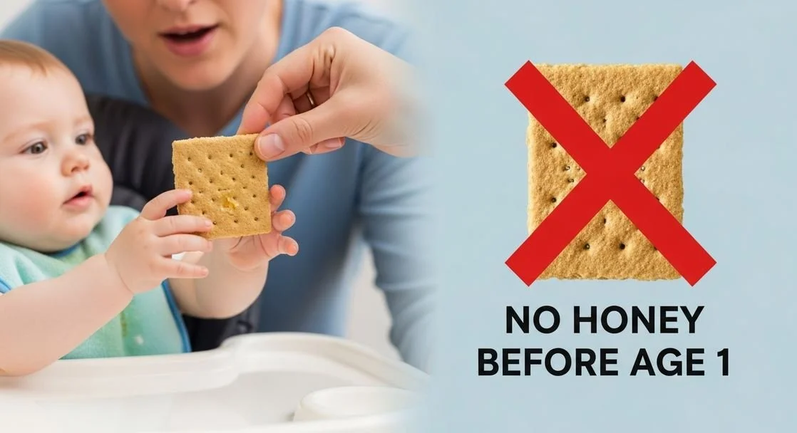 No Honey Graham Crackers For Babies