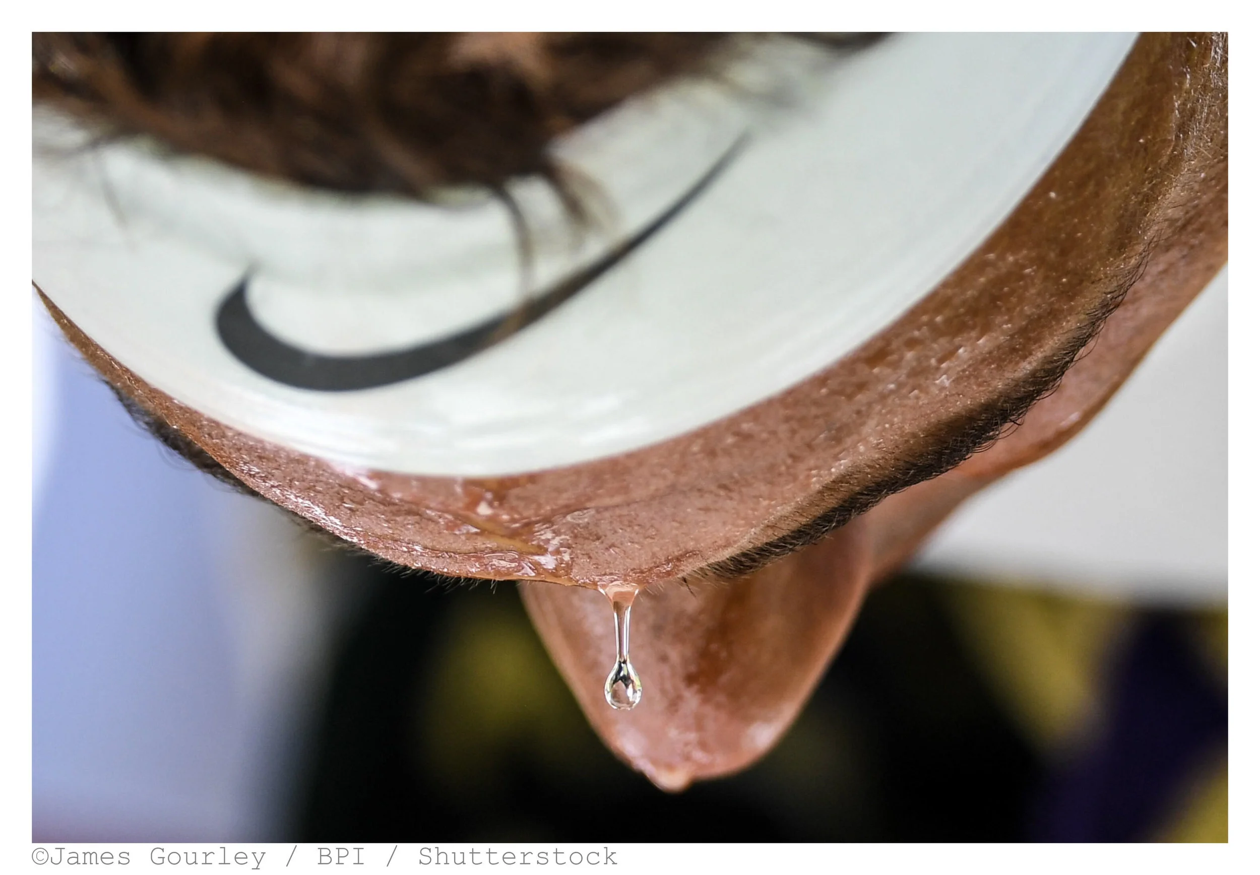 AS17_JAMES_GOURLEY_02-Watermarked.jpg