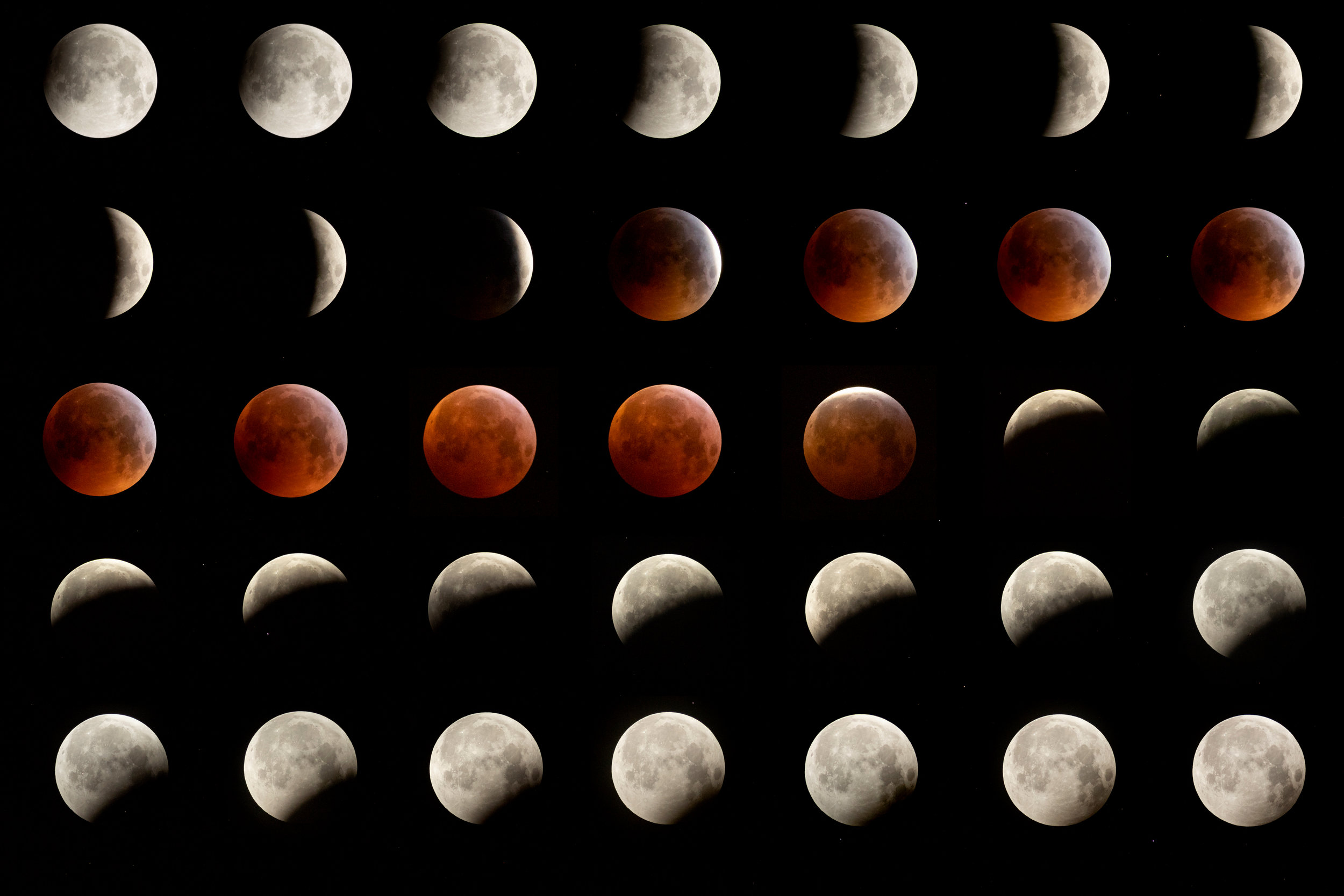  A composite image of a Super Blood Wolf Moon. Super due to its relative proximity to the Earth, Blood due to the colour caused by entering the Earth�s shadow and Wolf because it is January and Wolves howl due to hunger at this time of year.
Photo by