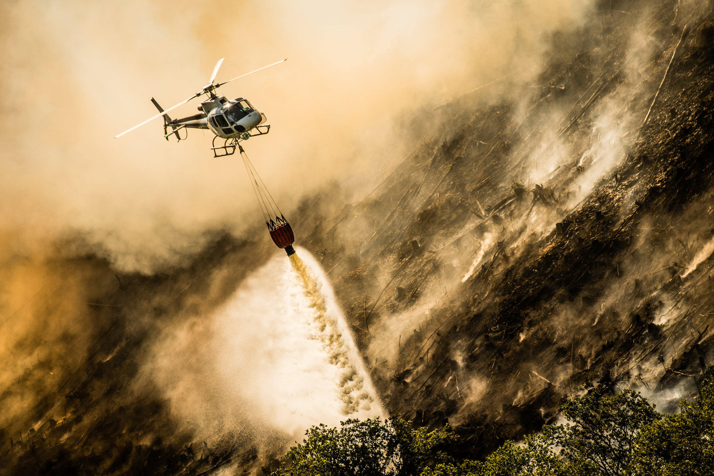  A forest fire is still burning and smouldering for a fourth day along the steep hillsides of the Rheidol Valley, a few miles inland of Aberystwyth in Mid Wales.
Photo by Keith Morris, 29 June 2018
 