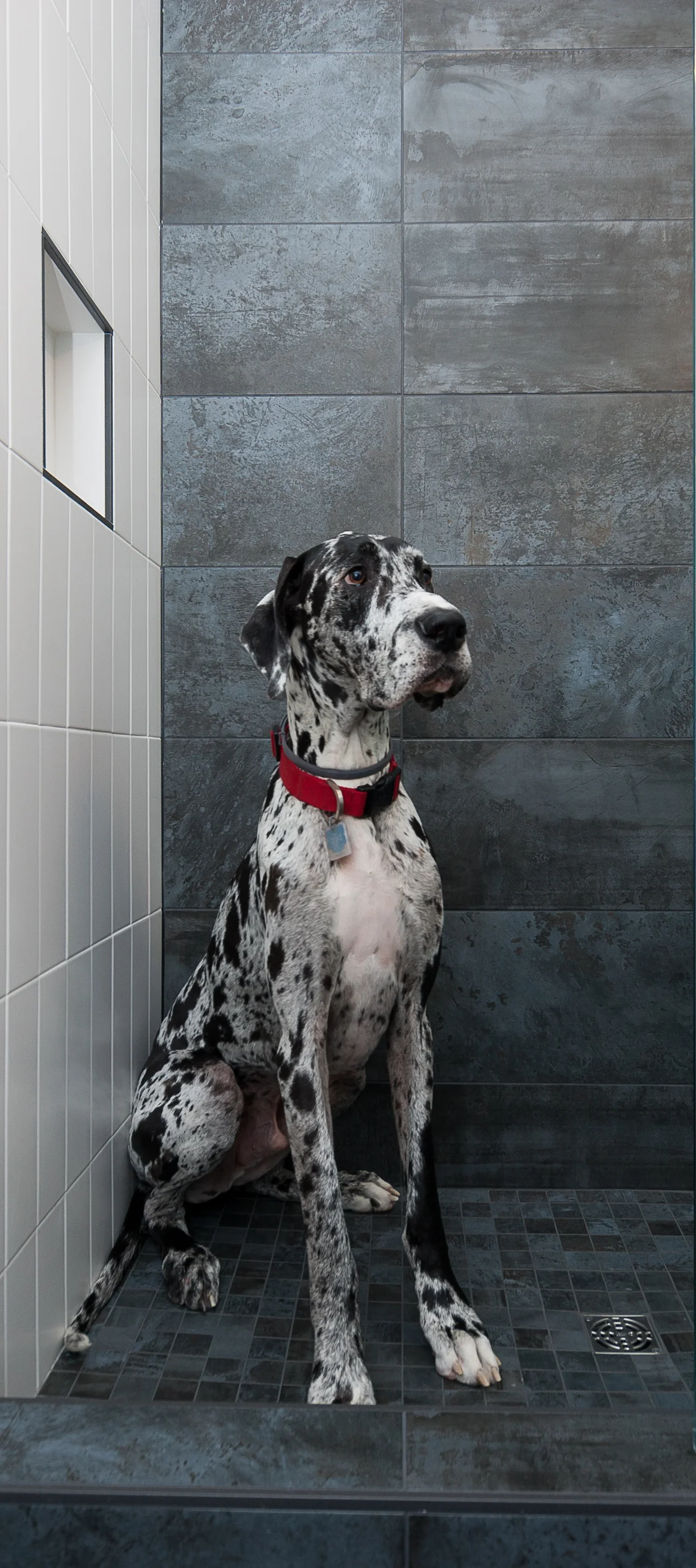 thinner pic - cute Mike in shower.jpg