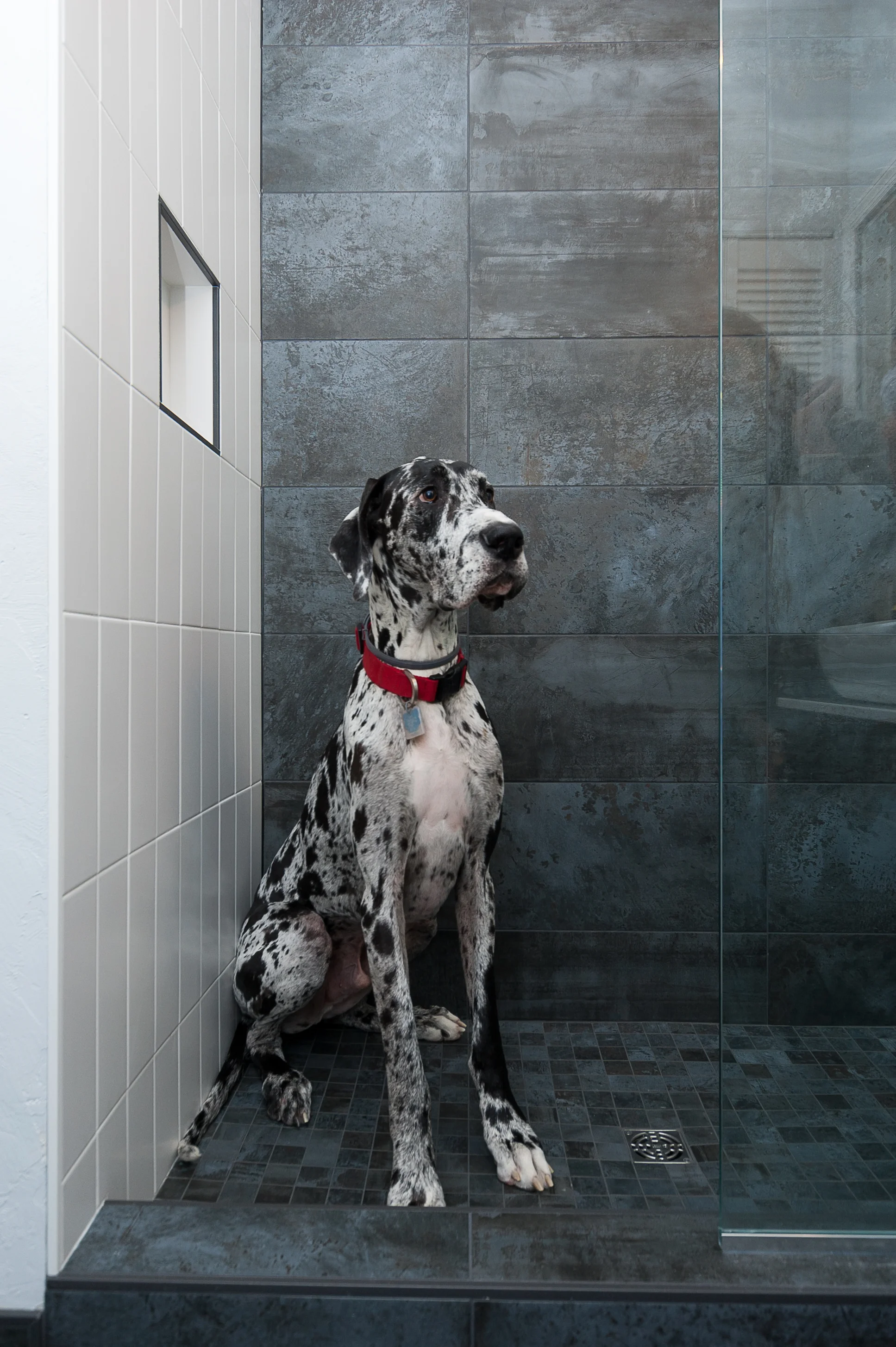 cute Mike in shower.jpg