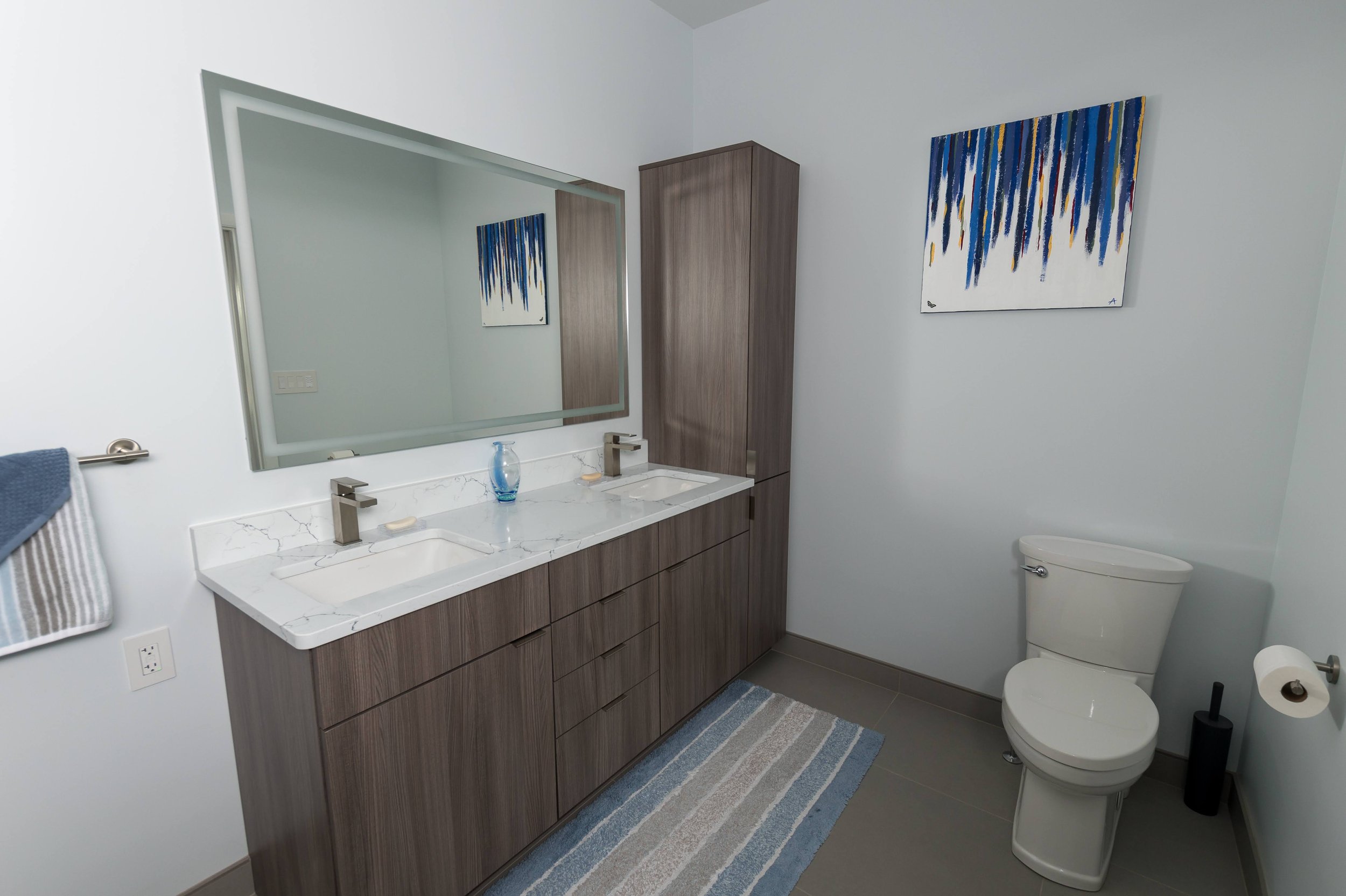 vanity toilet and mirror.jpg