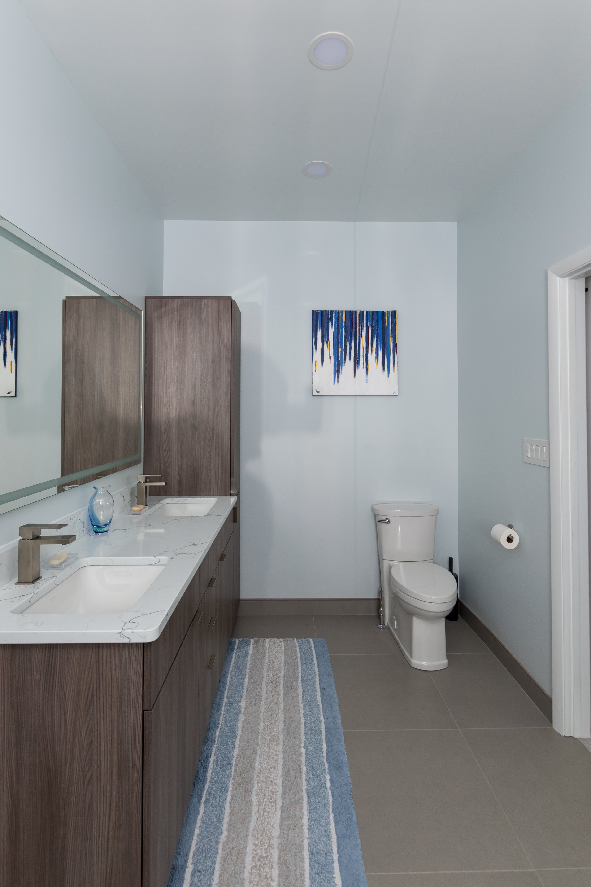 toilet wall and vanity.jpg