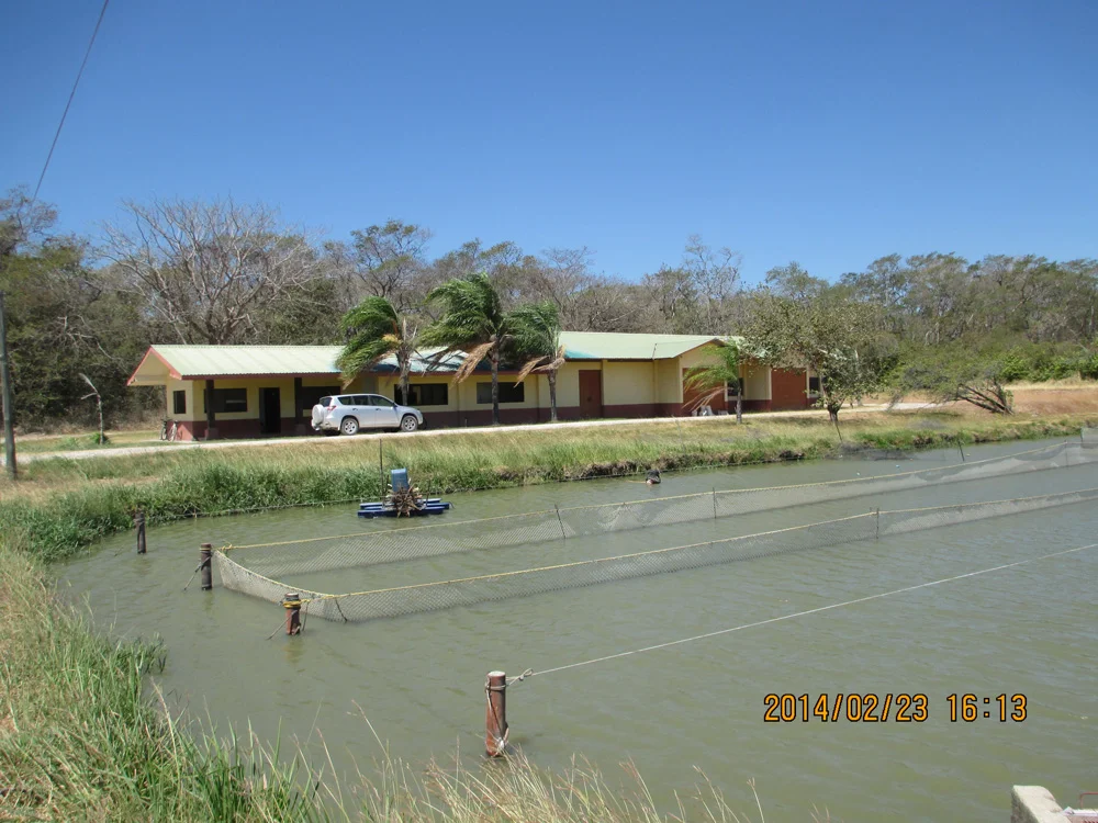 Shrimp Farming in Costa Rica