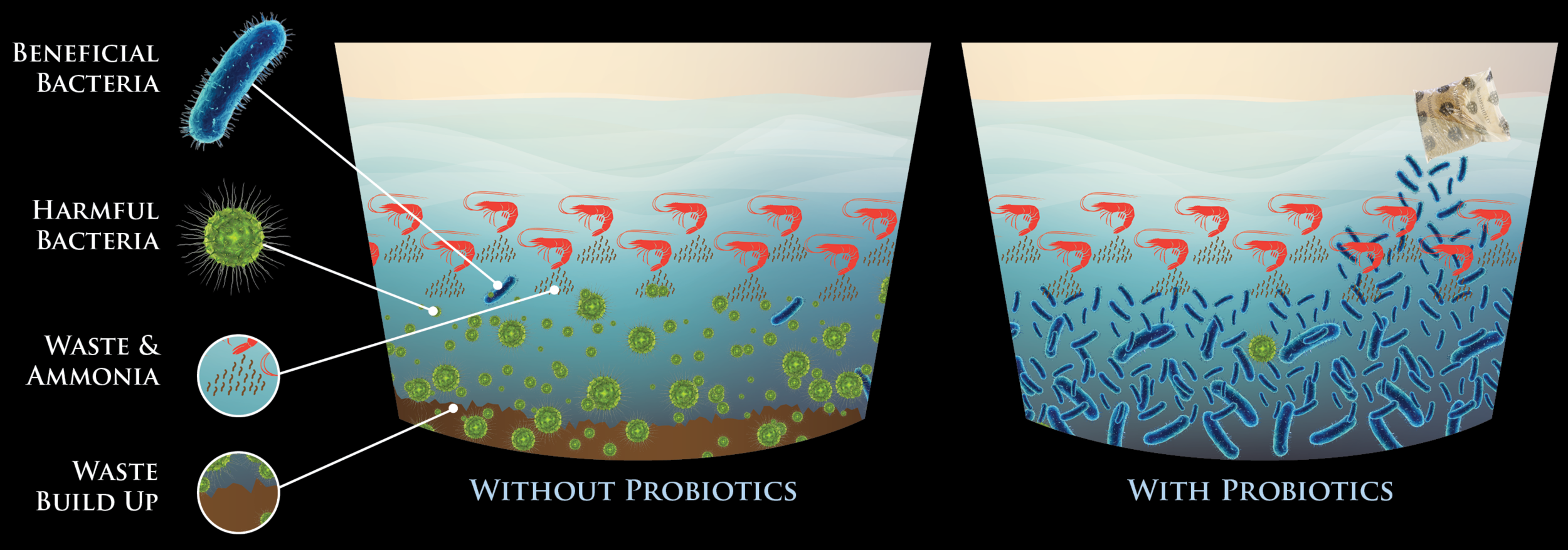 Aquaculture-20164.png