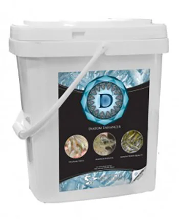 D3-bucket-245.jpg