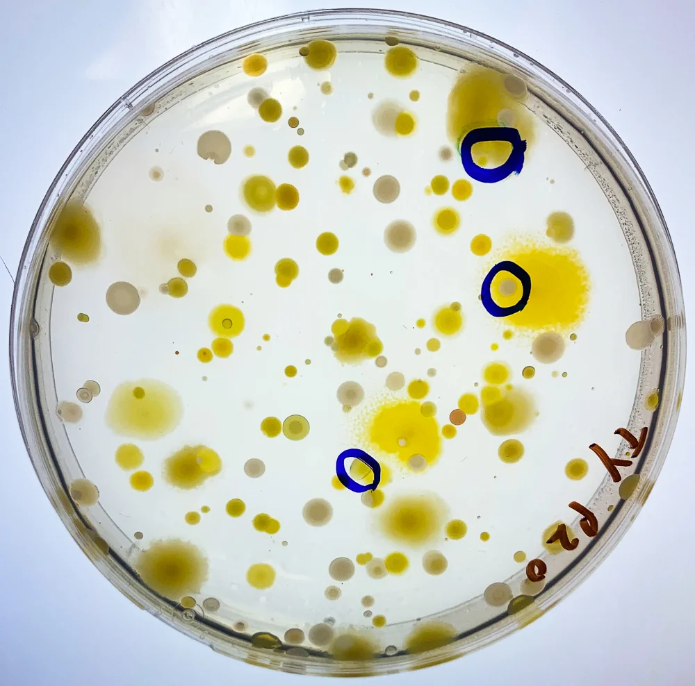 19LabPics-2.jpg