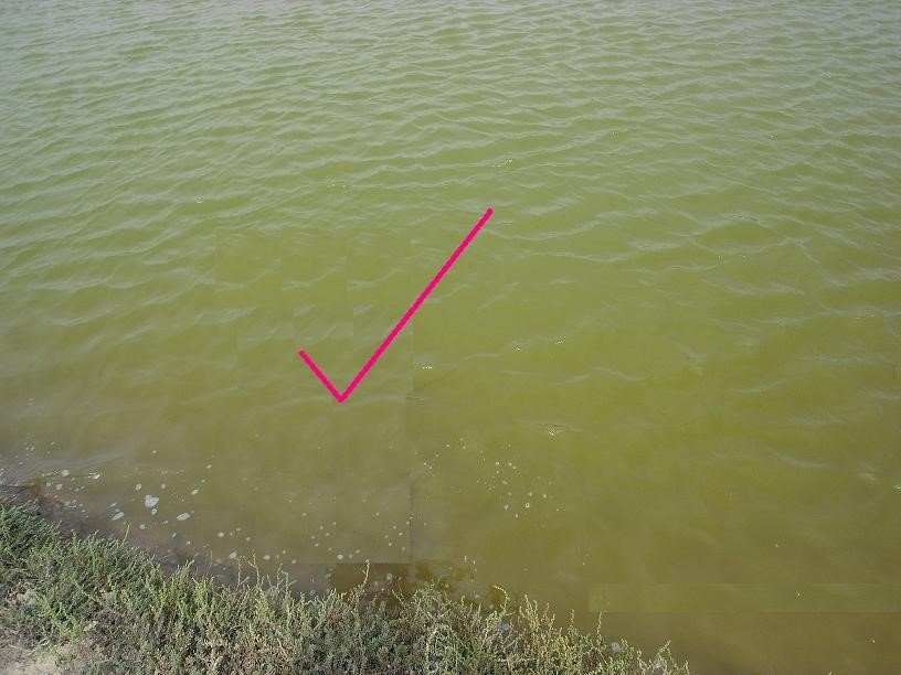 Ideal water quality after regular application of WSR