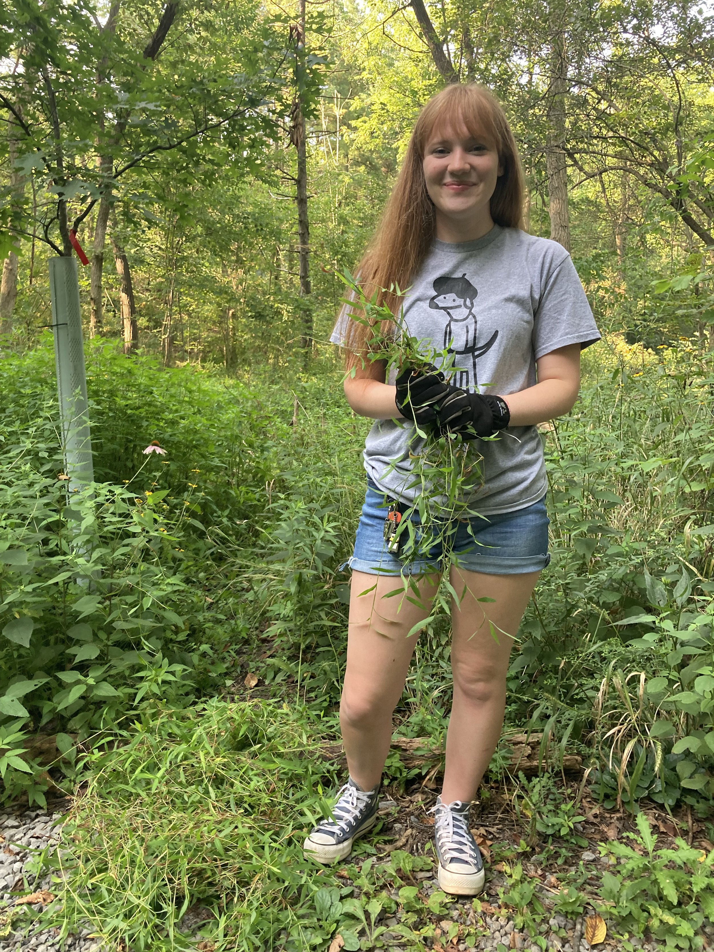 Bird Park - Health Check and Stilt Grass Removal 
