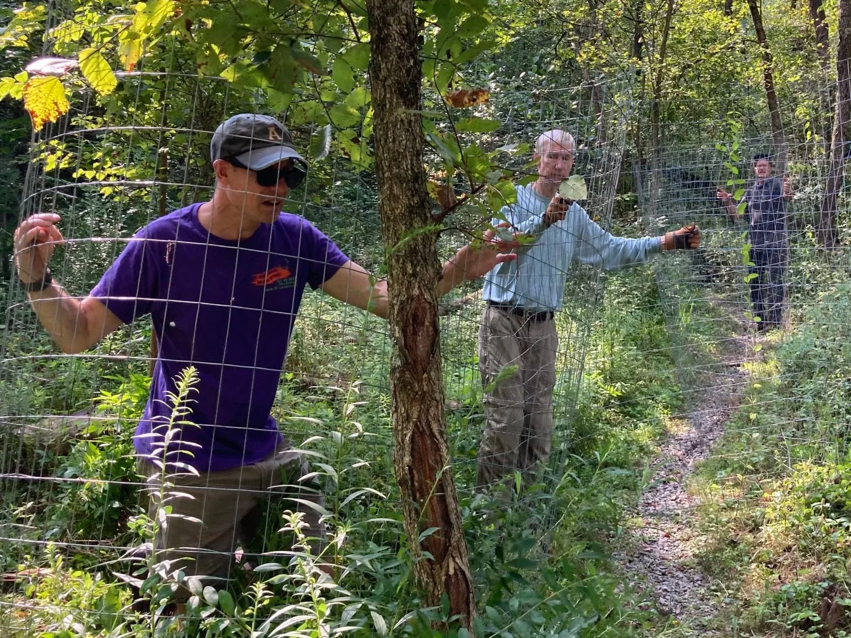 Twin Hills project work