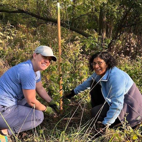 Twin Hills riparian area planting