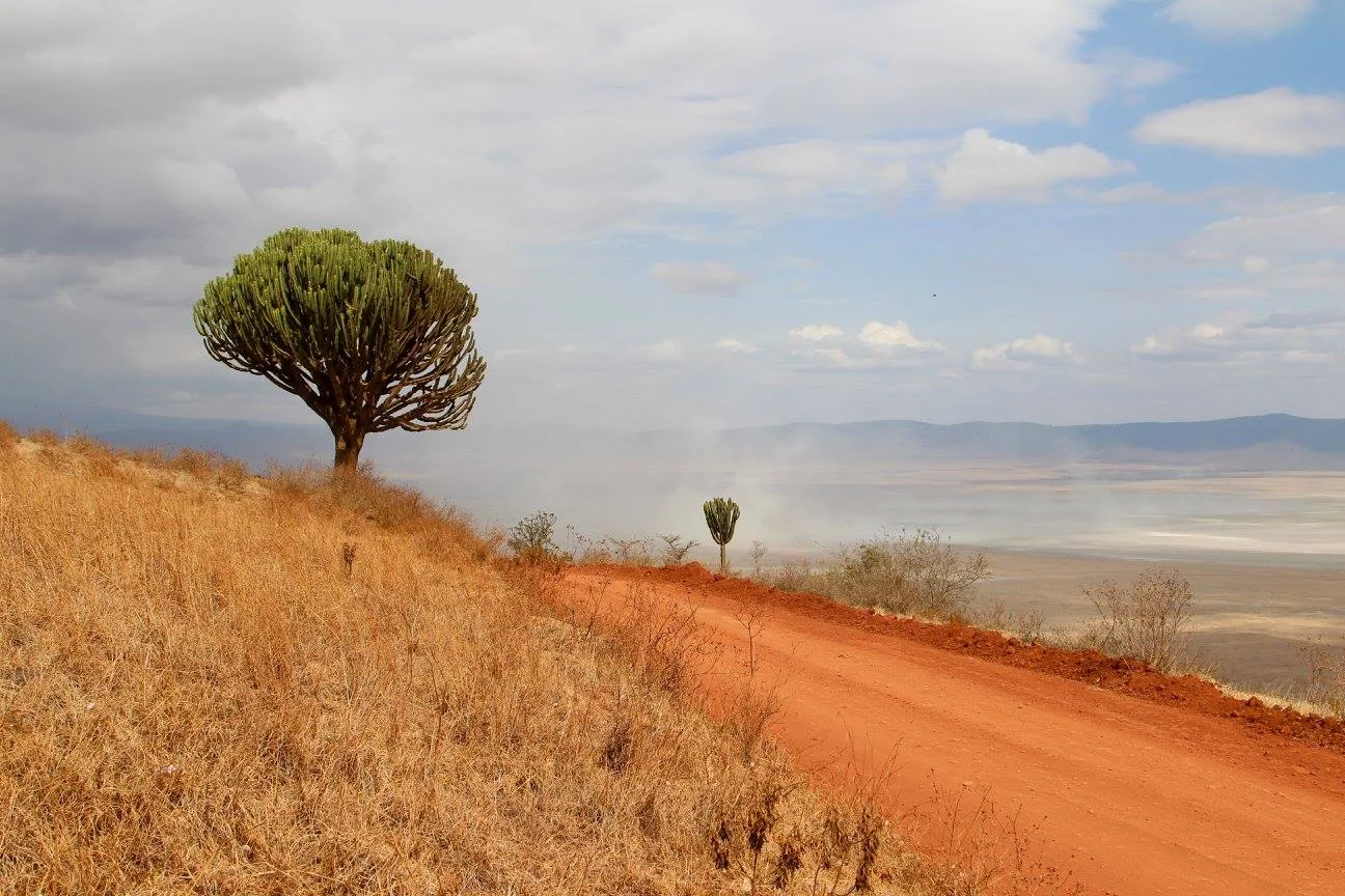 Ngorongoro.jpg