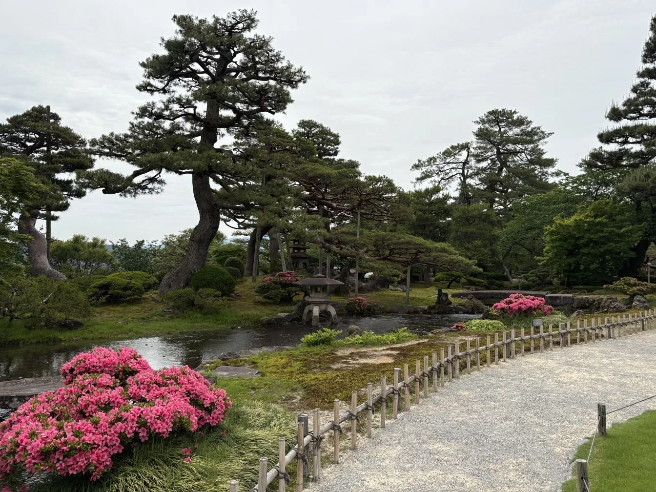 Peaceful scene at Kenrokuen Gardens in Kanazawa, with blooming azaleas, tall pines, and a pond
