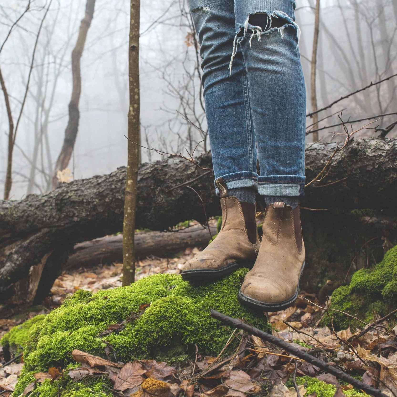 Wilderness Guide