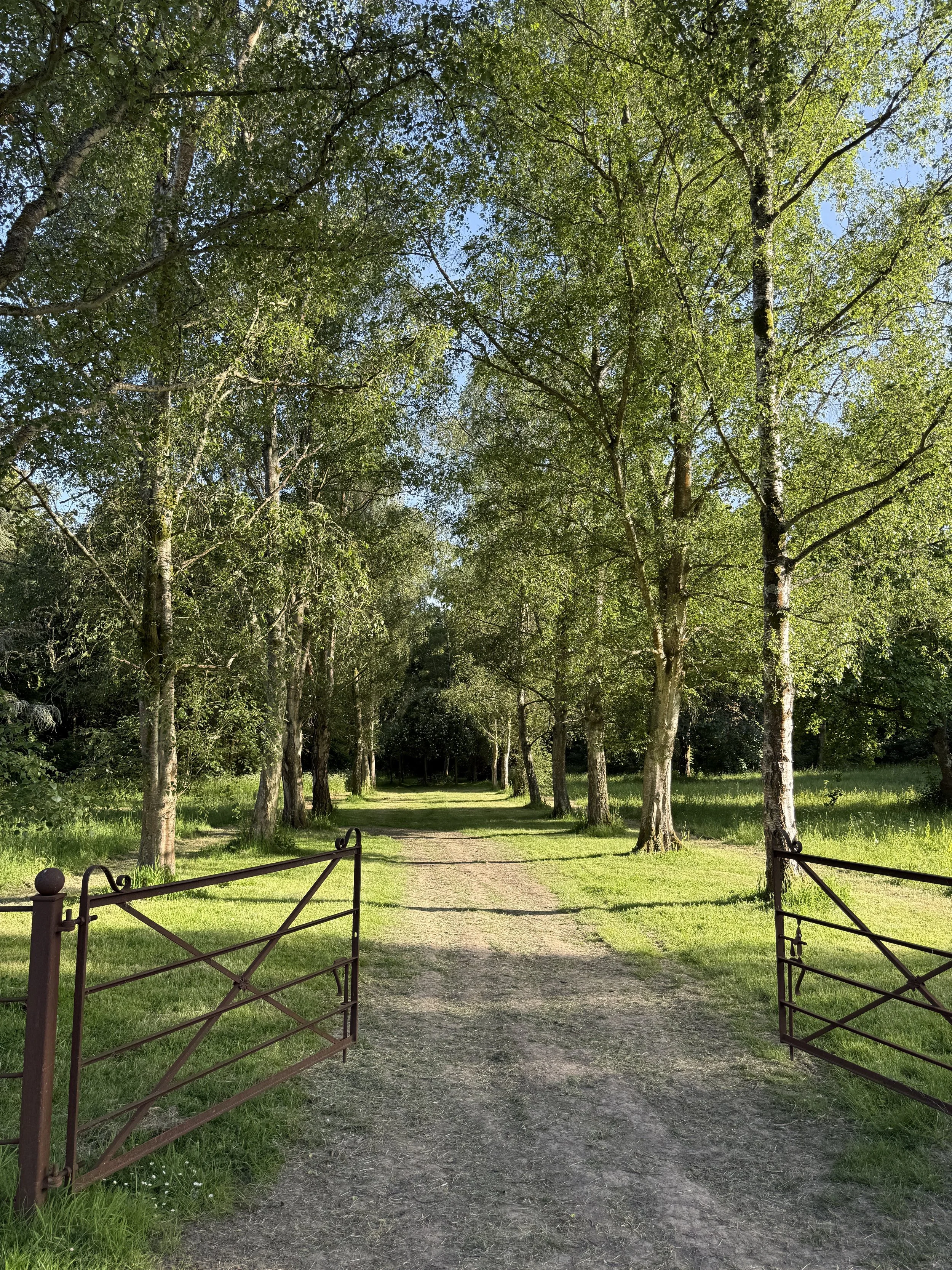THE GARDENS