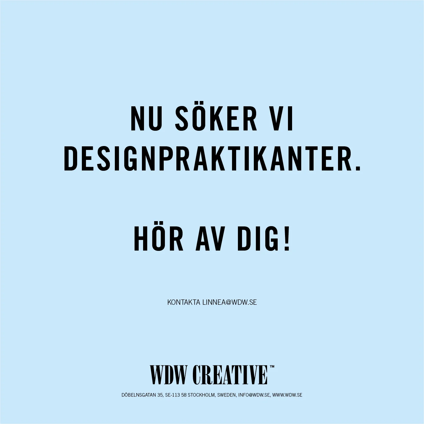 Praktikanter.jpg