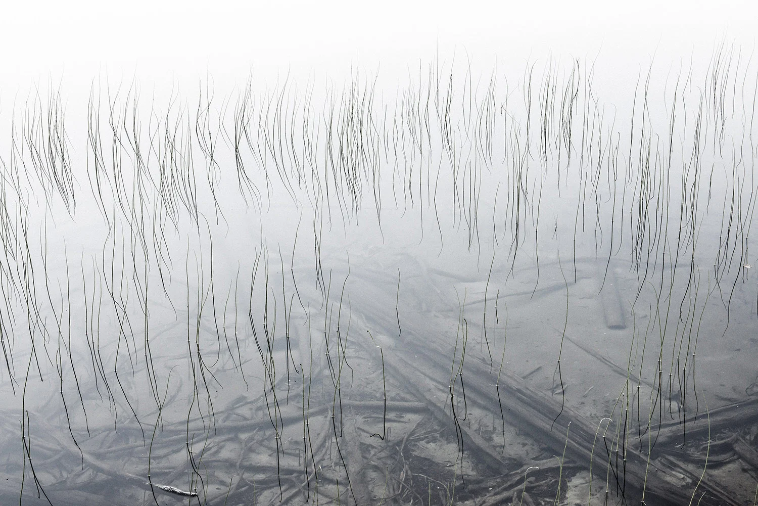 TRIPS_TO_NOWHERE_VINCENT_BOUSSEREZ_The-Past-2015.jpg