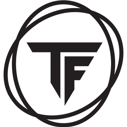 API TransFusion Logo