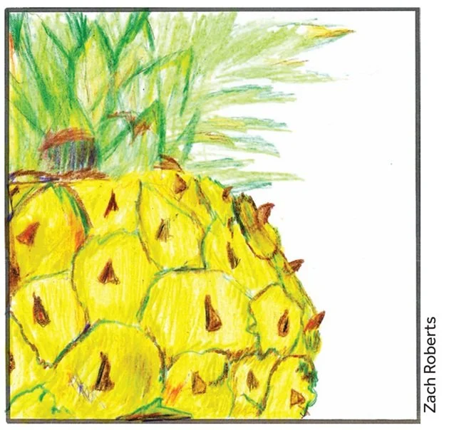 Hassocks Goes Gold pineapple 2.jpg