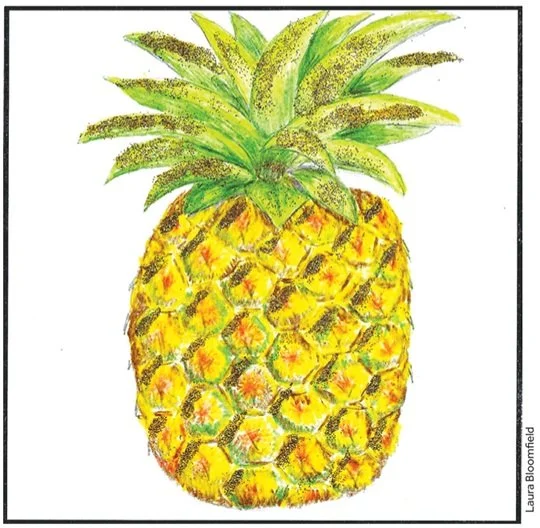 Hassocks Goes Gold pineapple 1.jpg
