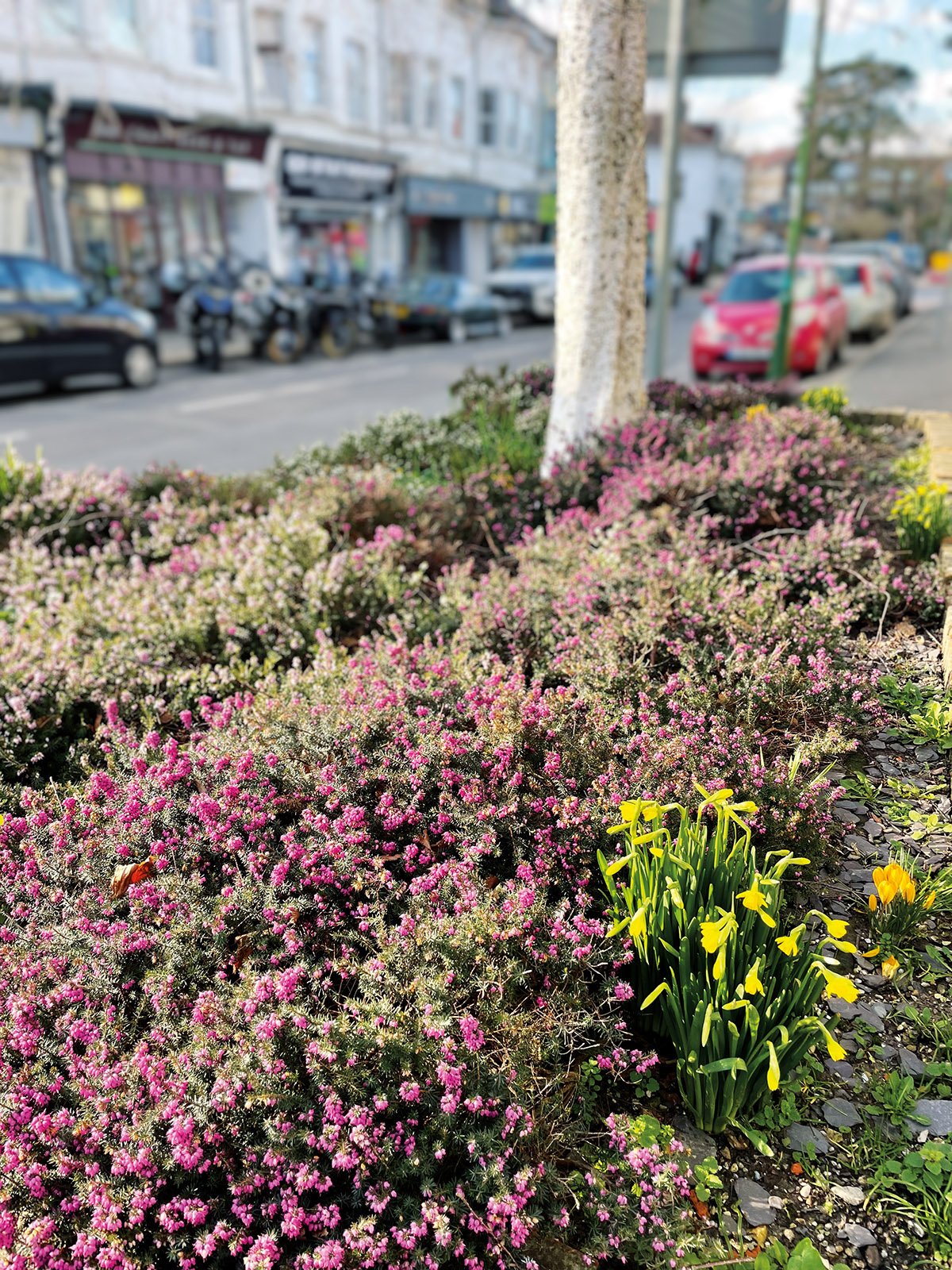 Hassocks Life Cover Debbie Ward.jpg