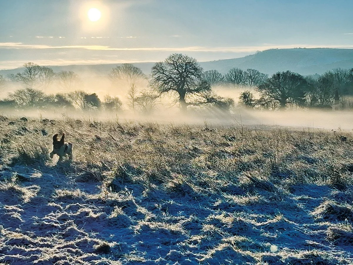 Hassocks Life Cover Christina Booer.jpg