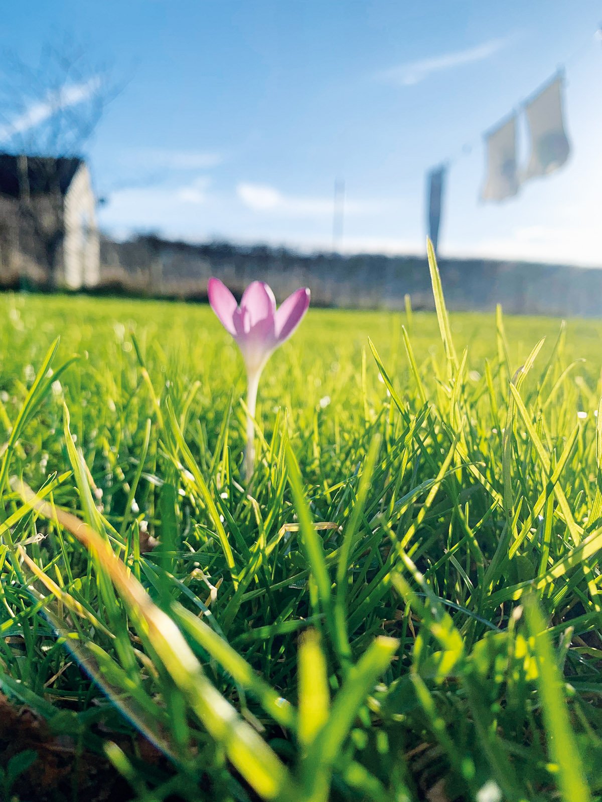 Hassocks Life Beatrice Turner.jpg