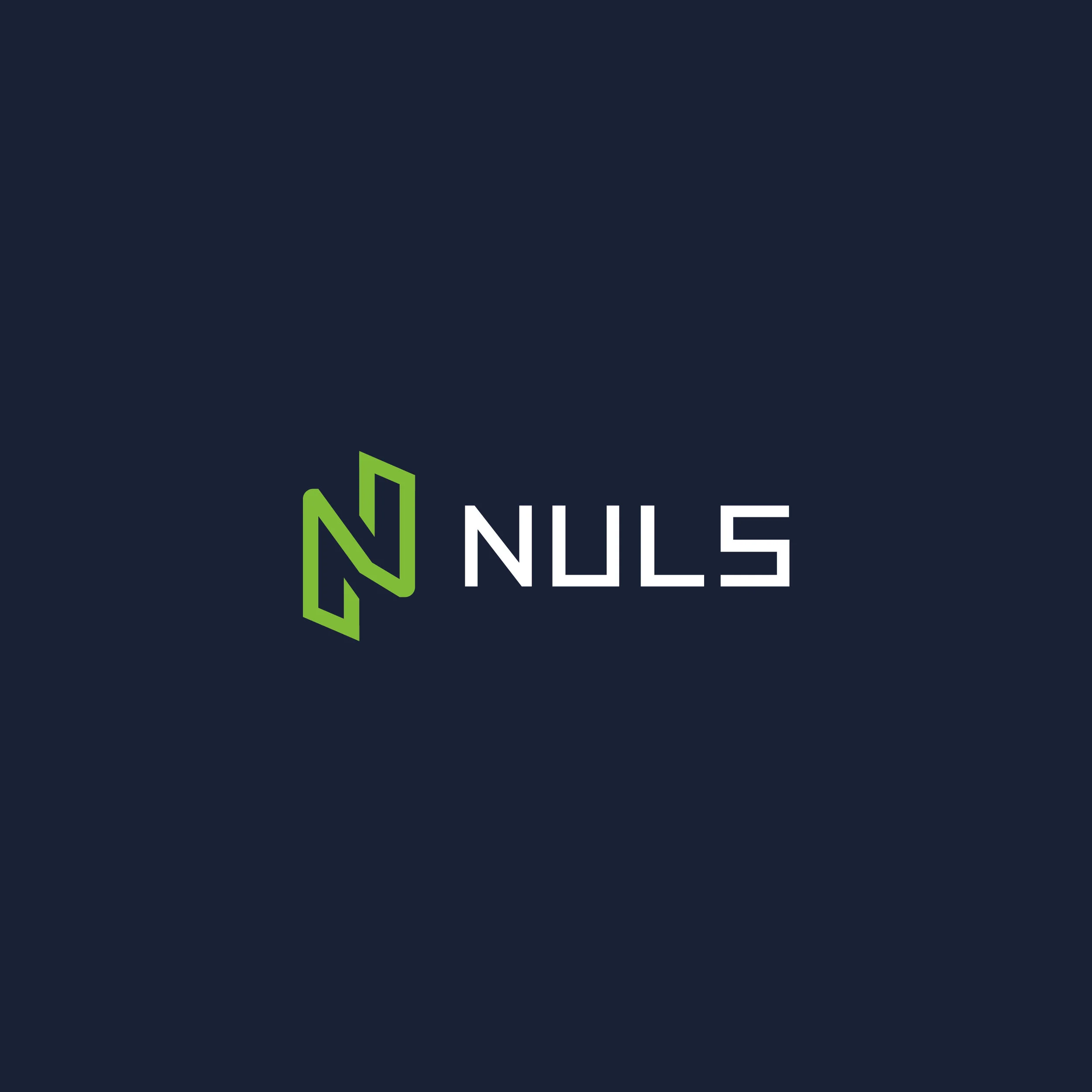 nulsa.jpg