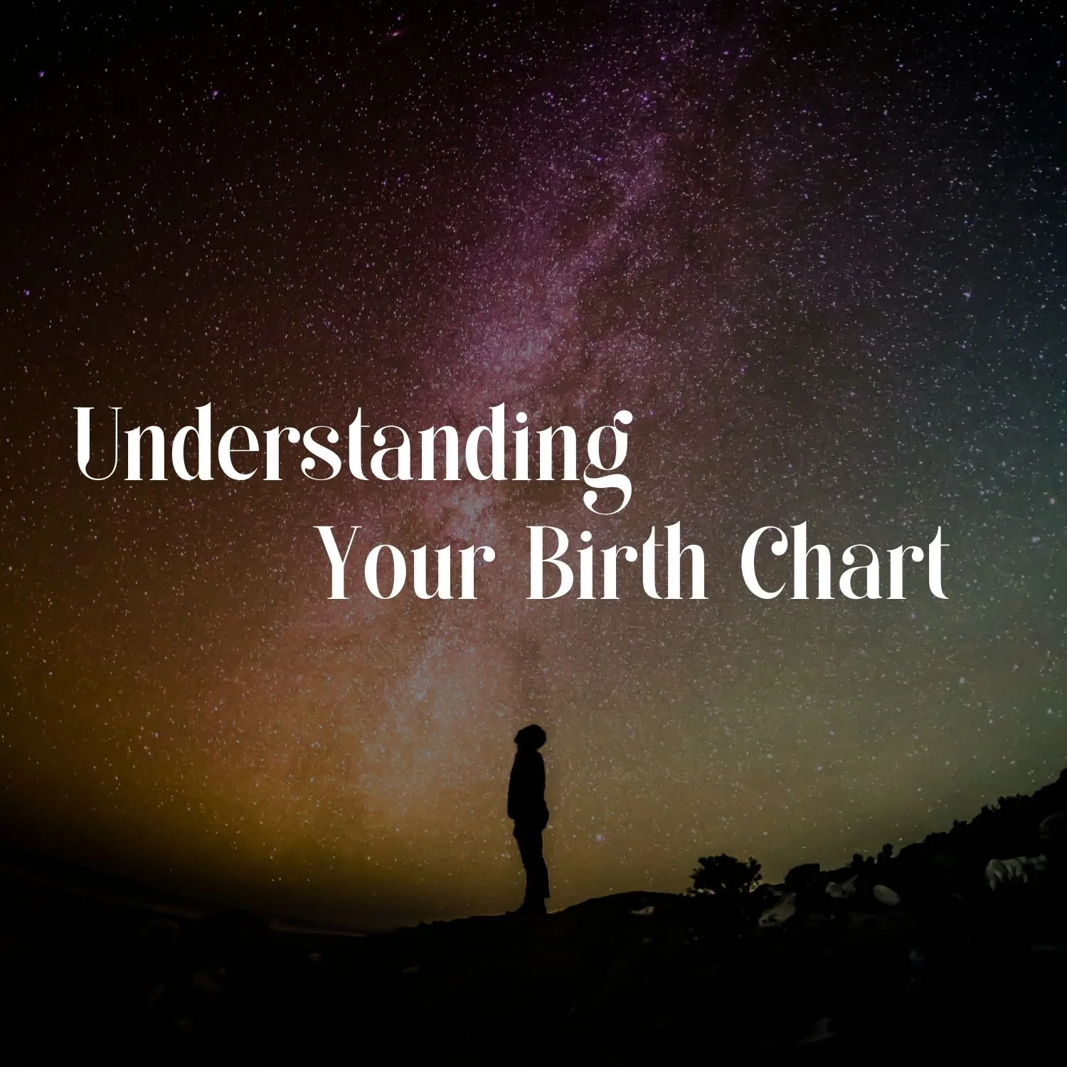 Astrology 101 Workshop