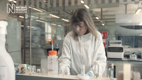 Natural History Museum | Sustainability (Copy)