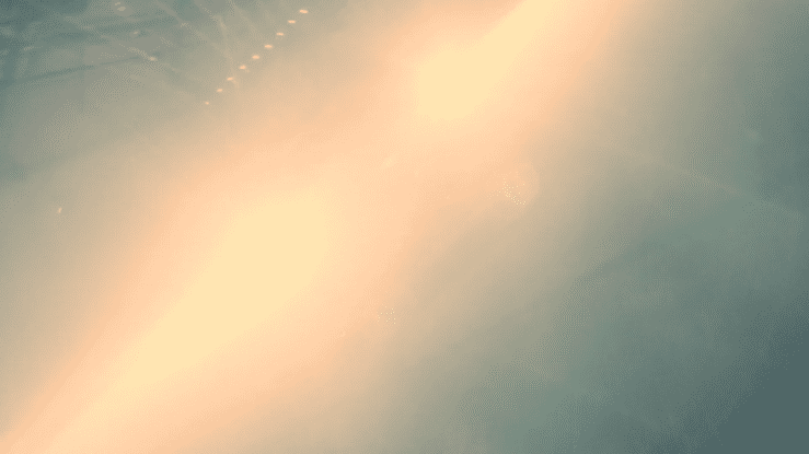 GENESIS | CAR LAUNCH (Copy)