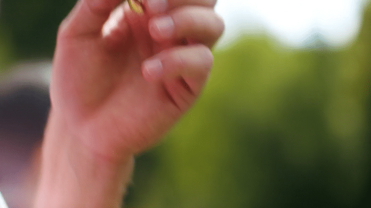 POCKET ROCKET | BRAND FILM (Copy)