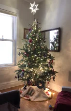 tree.jpg