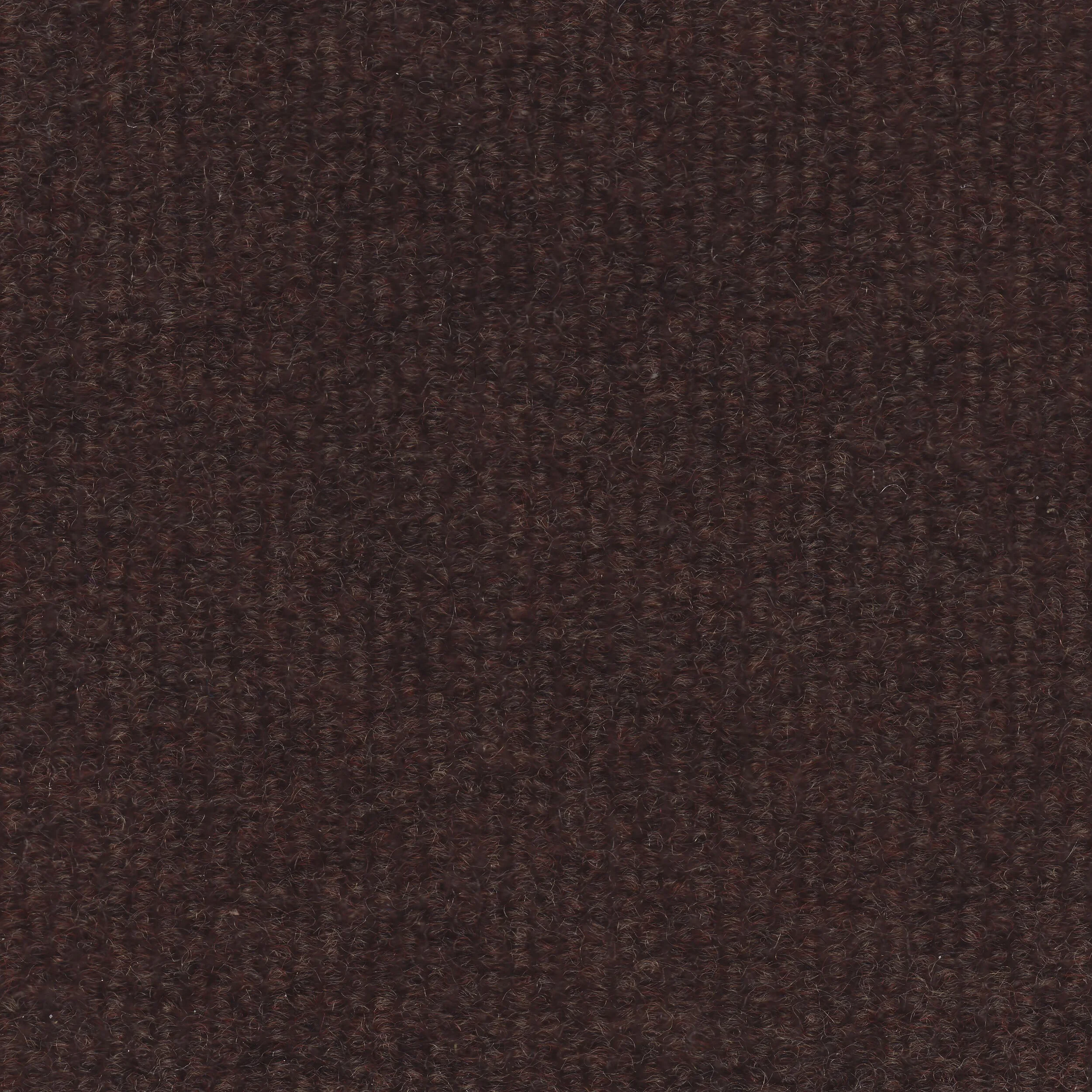 Sierra_19.jpg