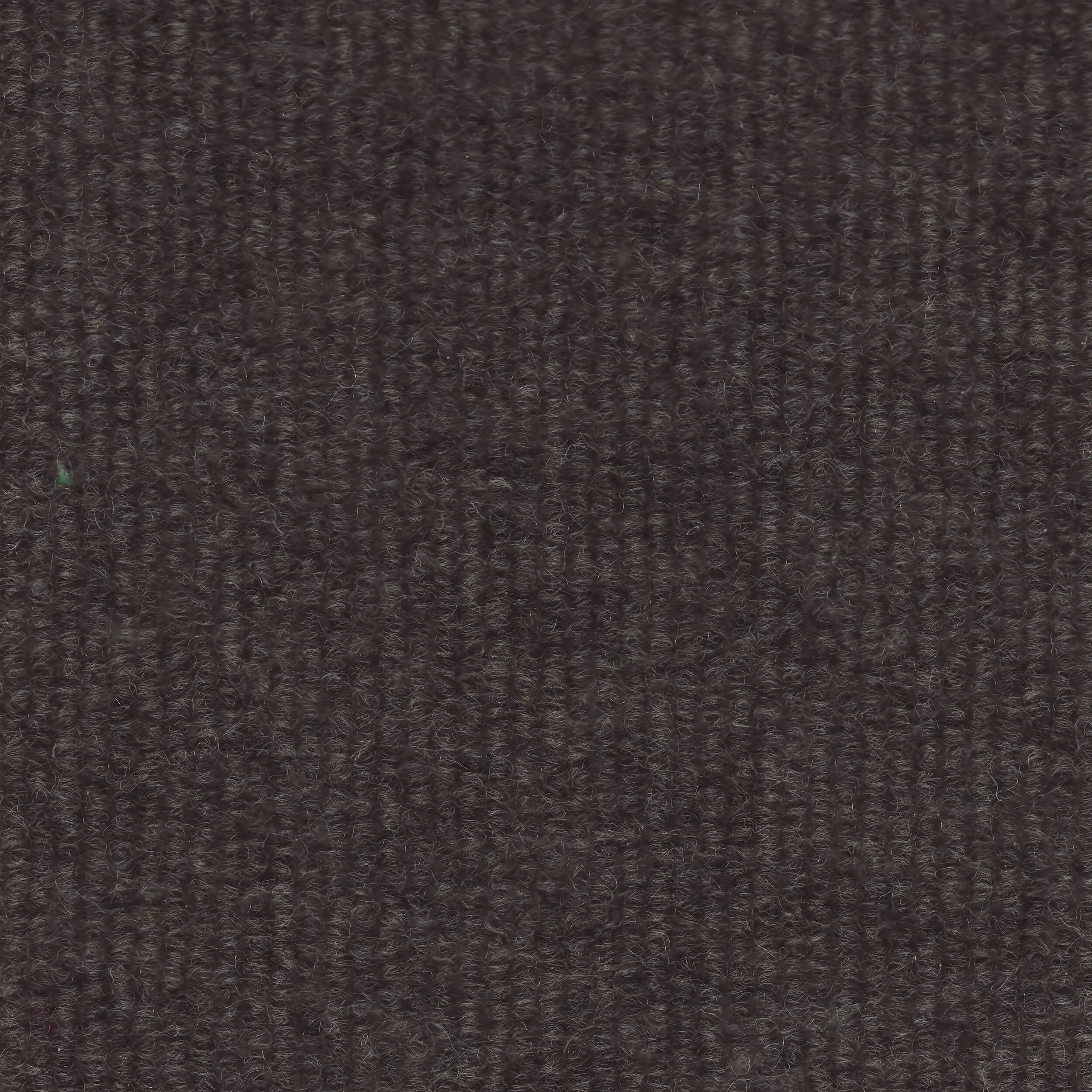 Snakeskin_19.jpg