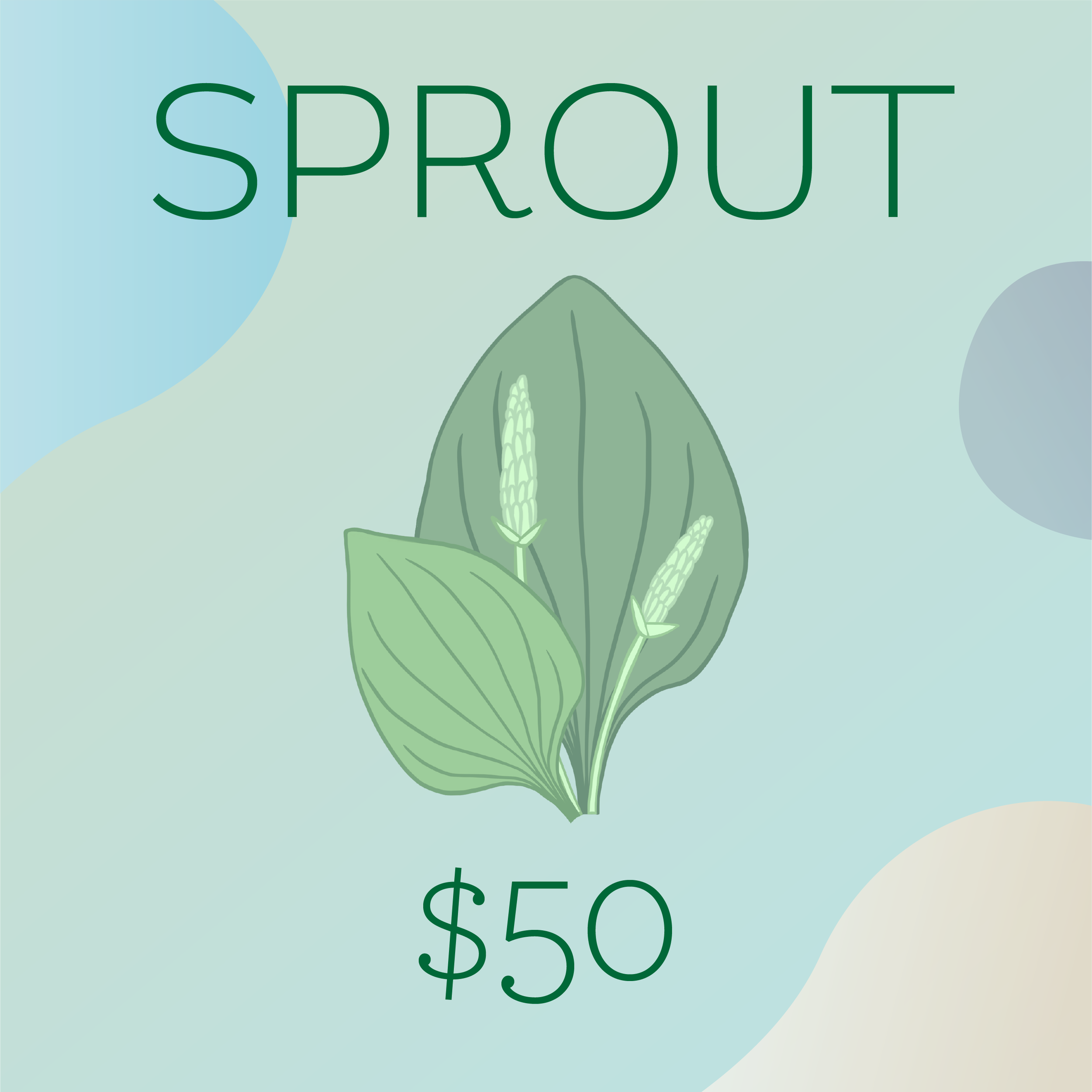 2022_Gift_Cards_SPROUT.png