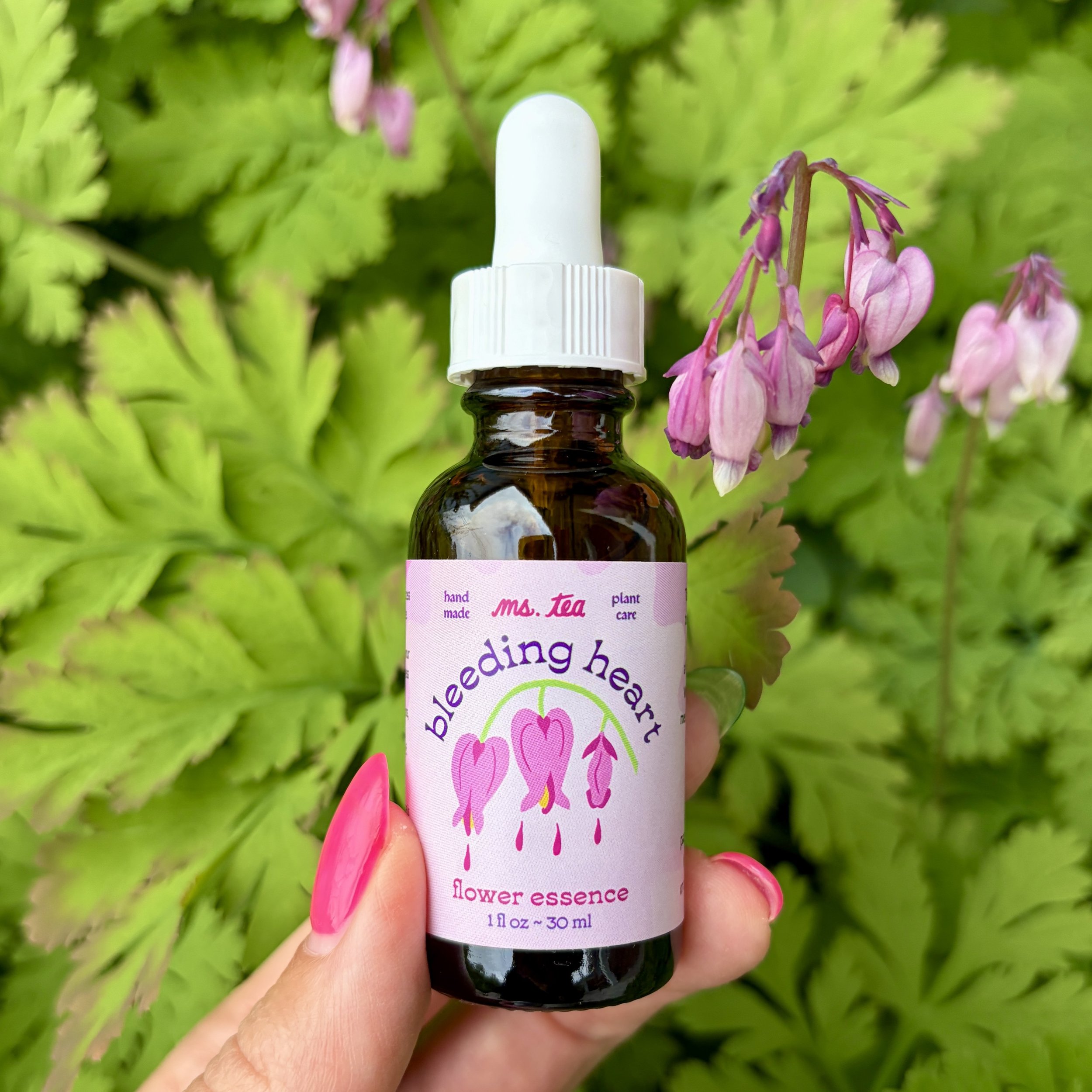 Bleeding Heart Essence